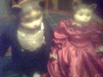 Antique Bisque Cat Dolls